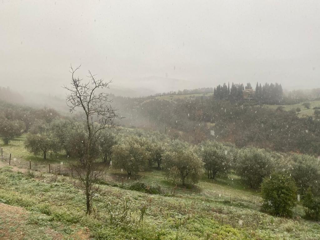 Campora House Hotel Tavarnelle Val di Pesa Luaran gambar